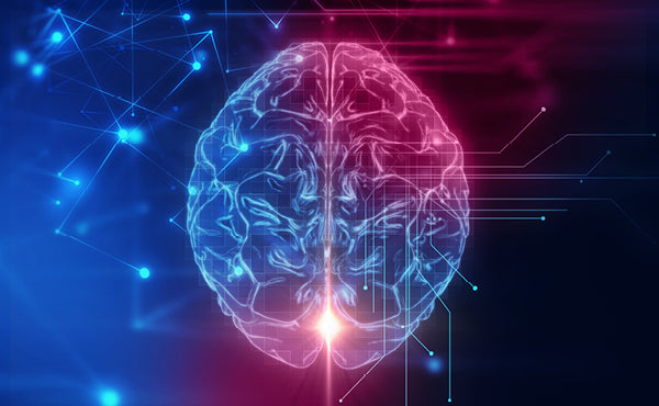 Natural Support for Cognitive Health | Cognitive Health Supplements