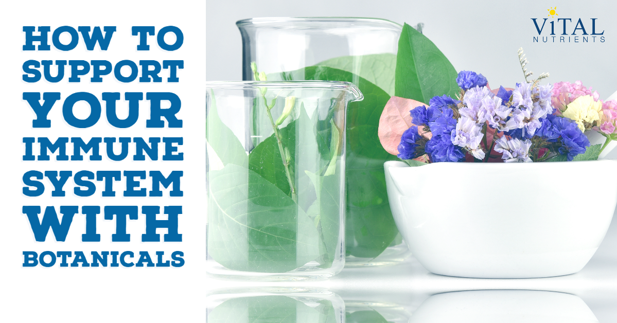 How To Support Your Immune System With Botanicals